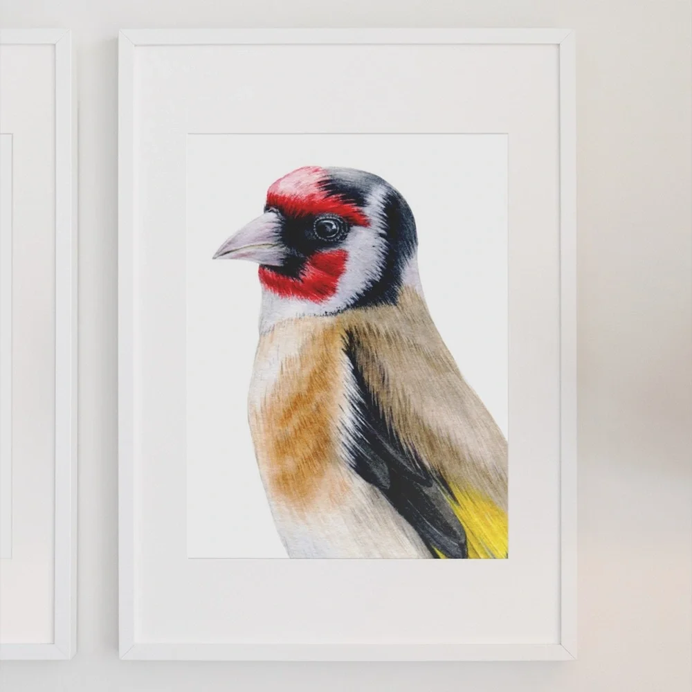 Watercolor Wall Art Goldfinch Bird Illustration Print Poster Unframed - Picture 3 of 9